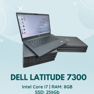 Dell Latitude 7300